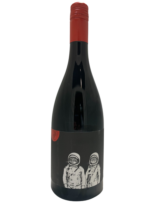 Felicette Cats in Space Red Blend