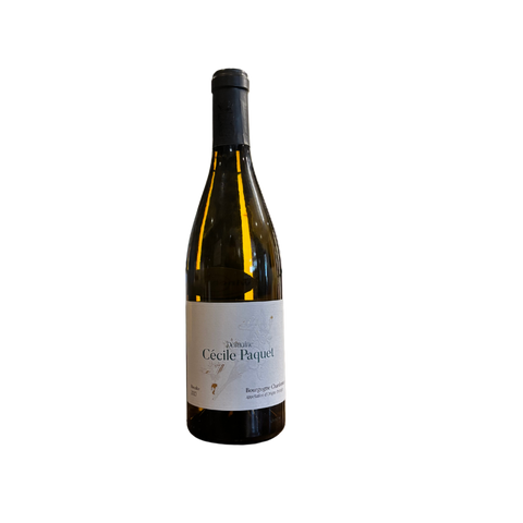 Domaine Cecile Paquet Bourgogne Blanc